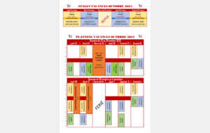 STAGE ET PLANNING VACANCES DE LA TOUSSAINT